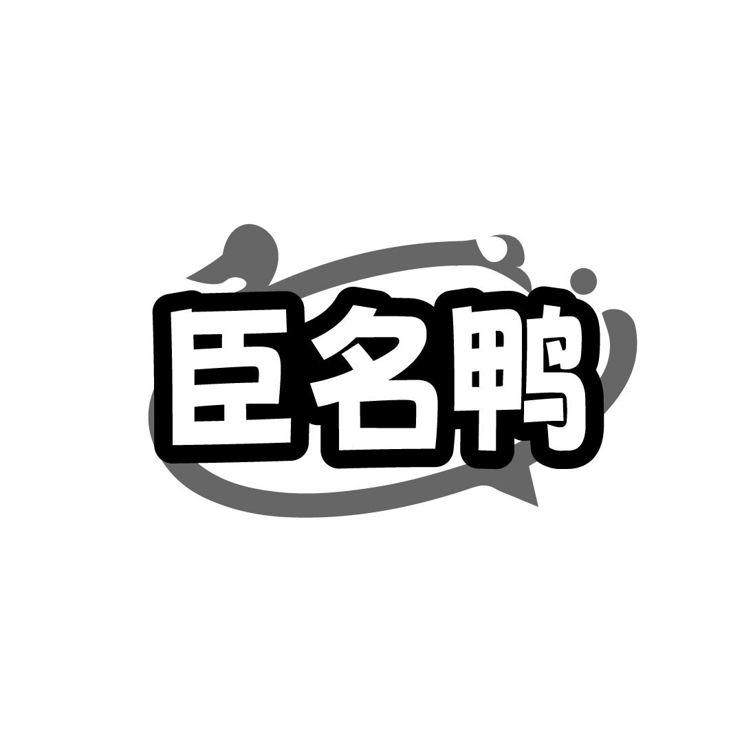 臣名鸭