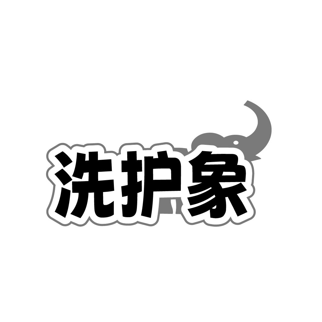 洗护象