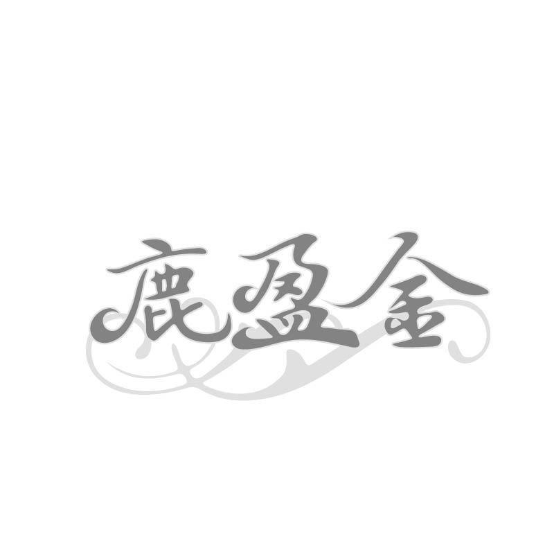 鹿盈金