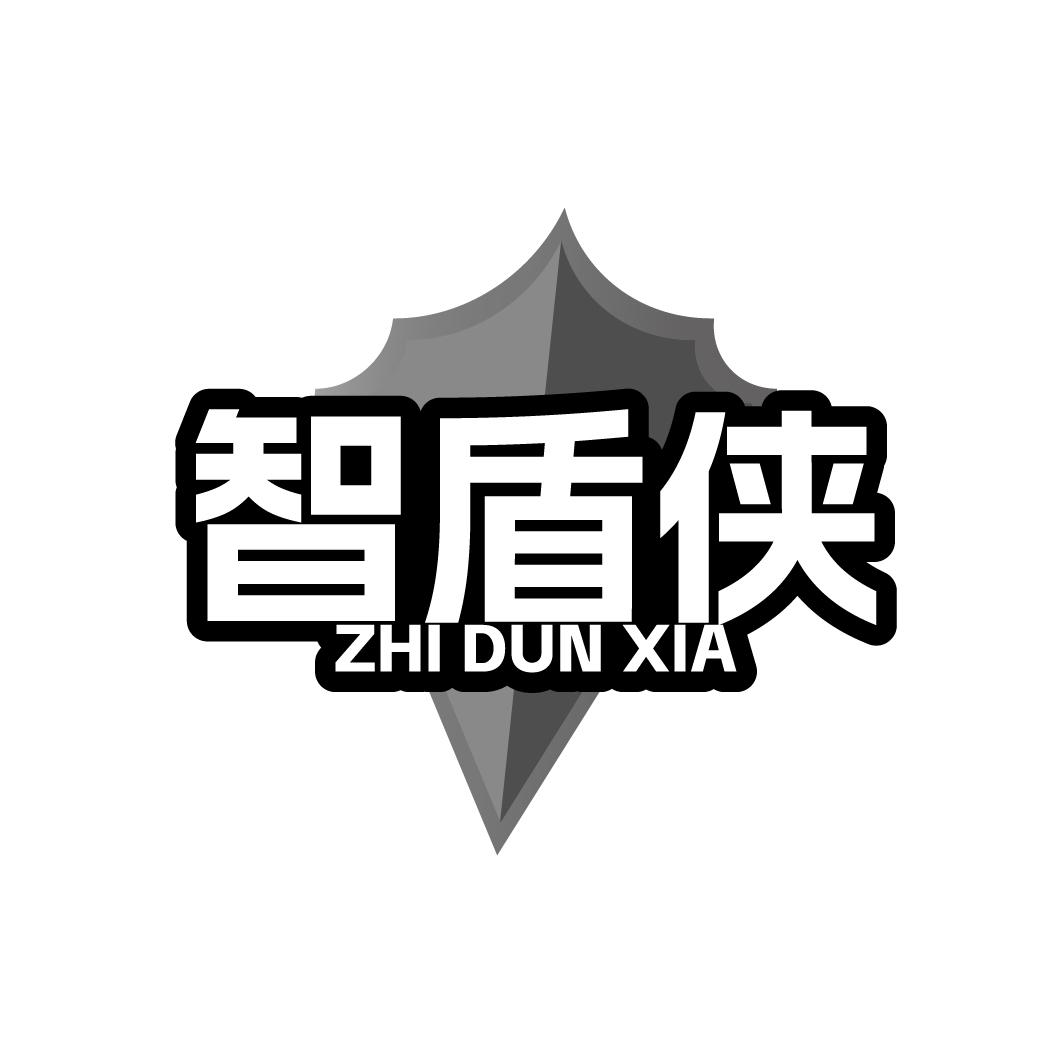 智盾侠