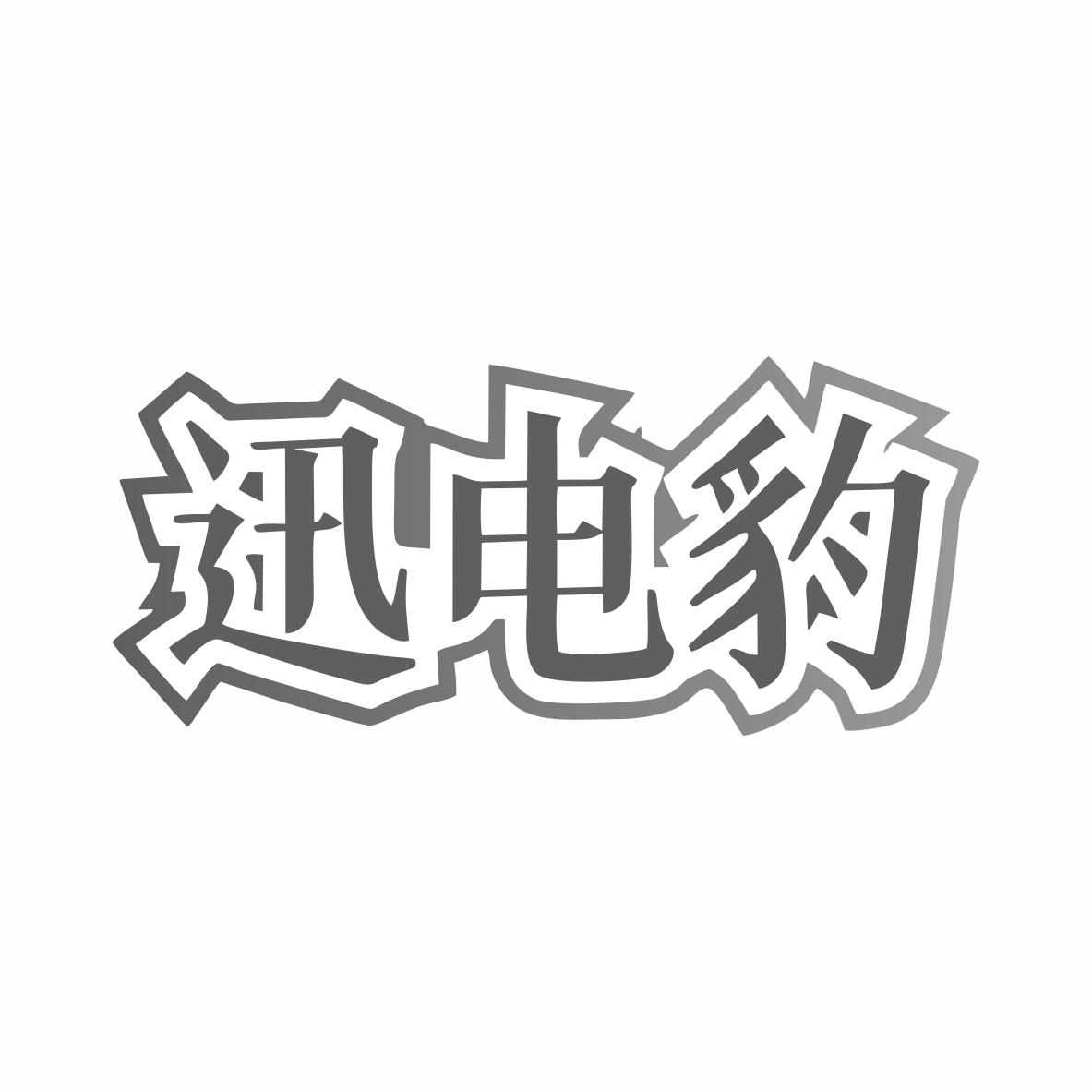 迅电豹