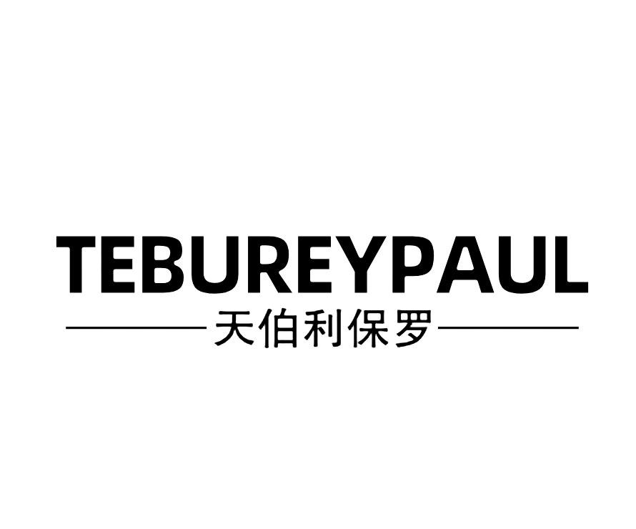 TEBUREYPAUL 天伯利保罗