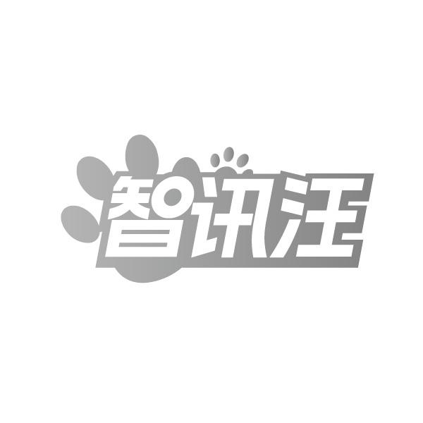 智讯汪