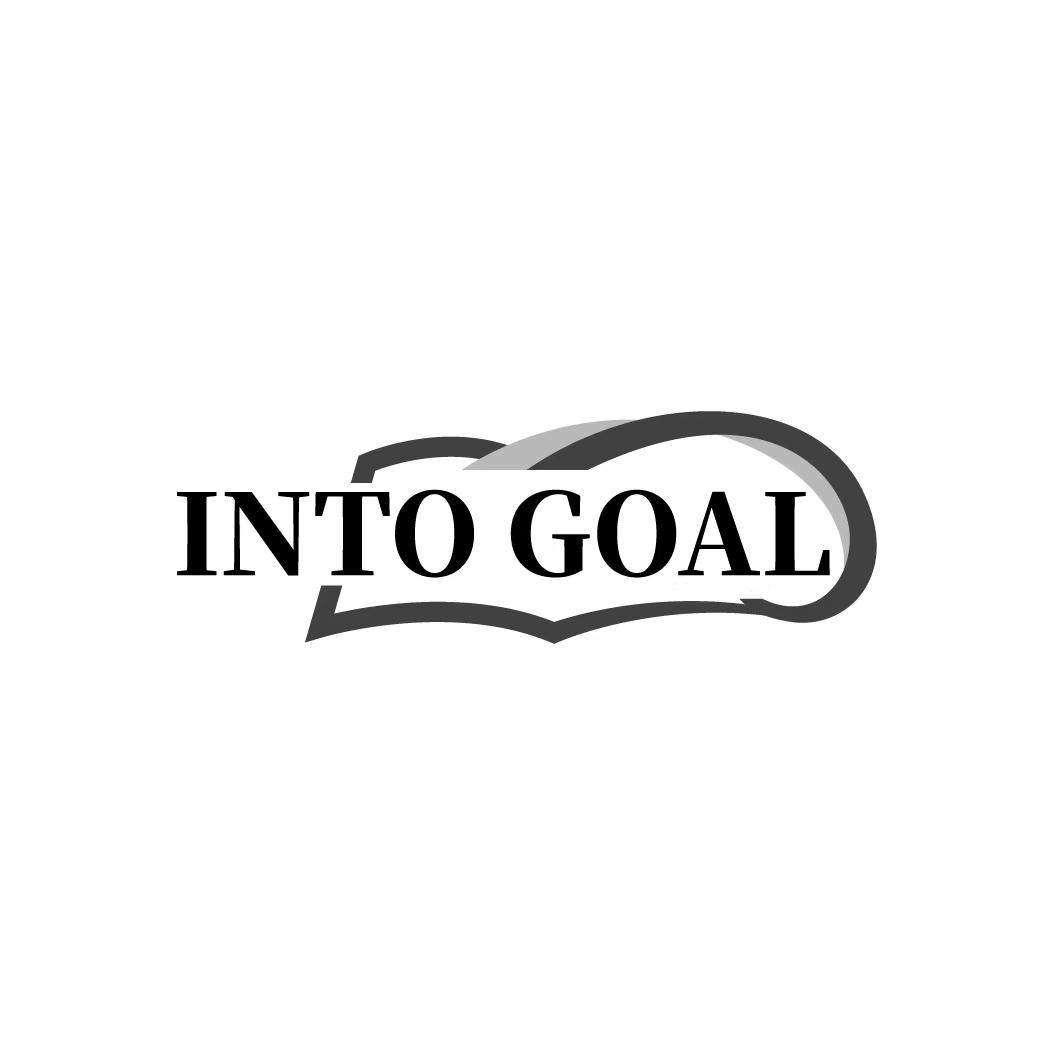 INTO GOAL