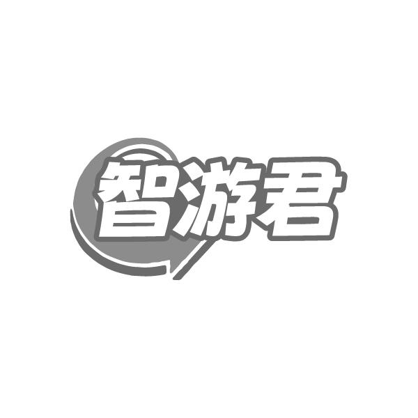 智游君