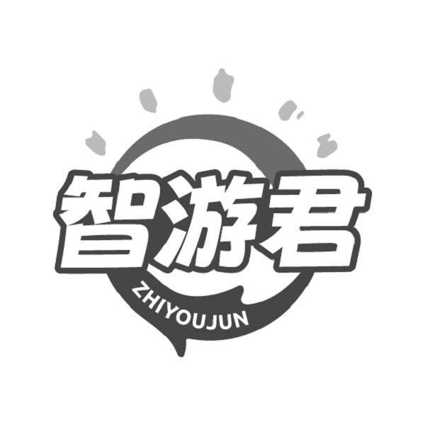智游君
