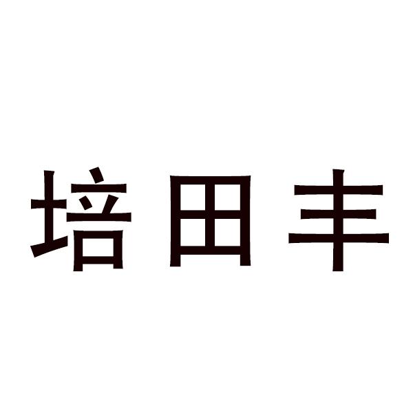 培田丰