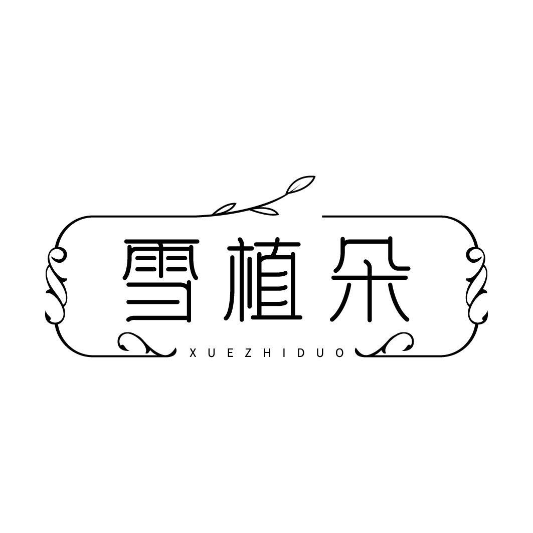 雪植朵