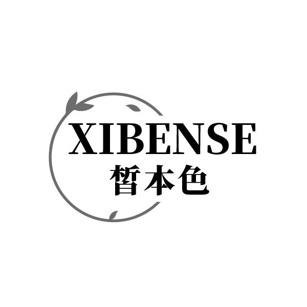皙本色