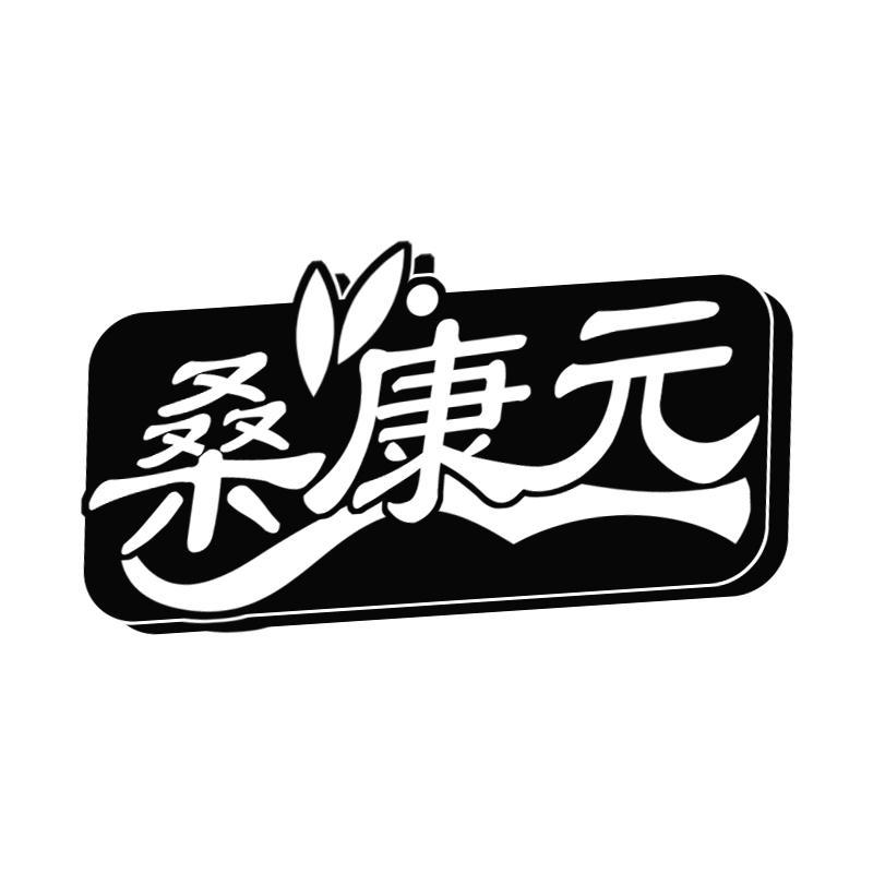 桑康元