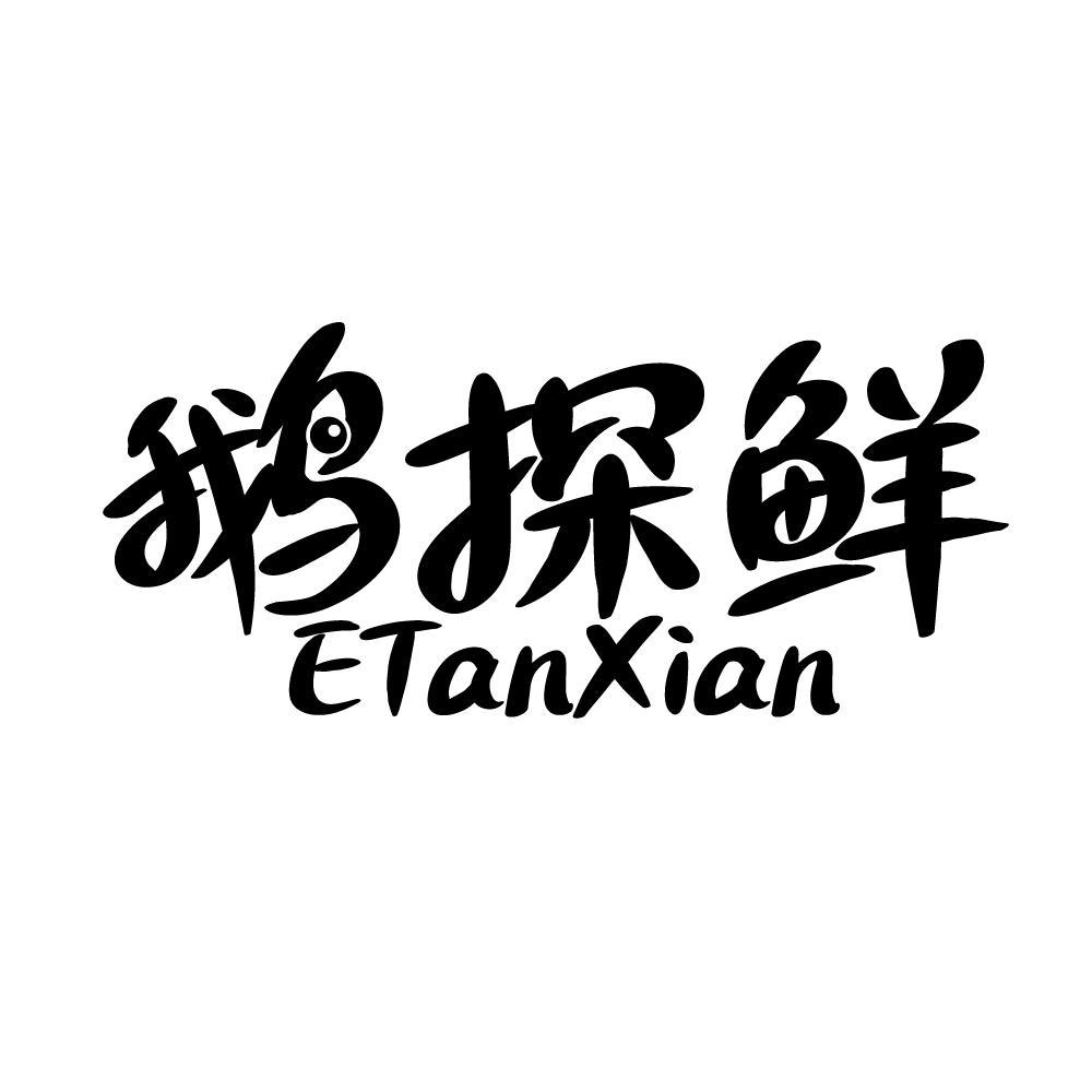 鹅探鲜
