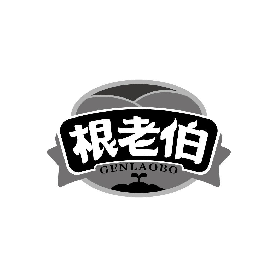 根老伯