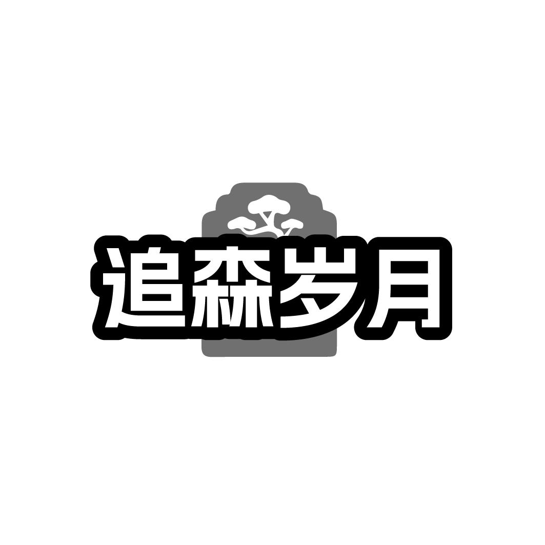 追森岁月