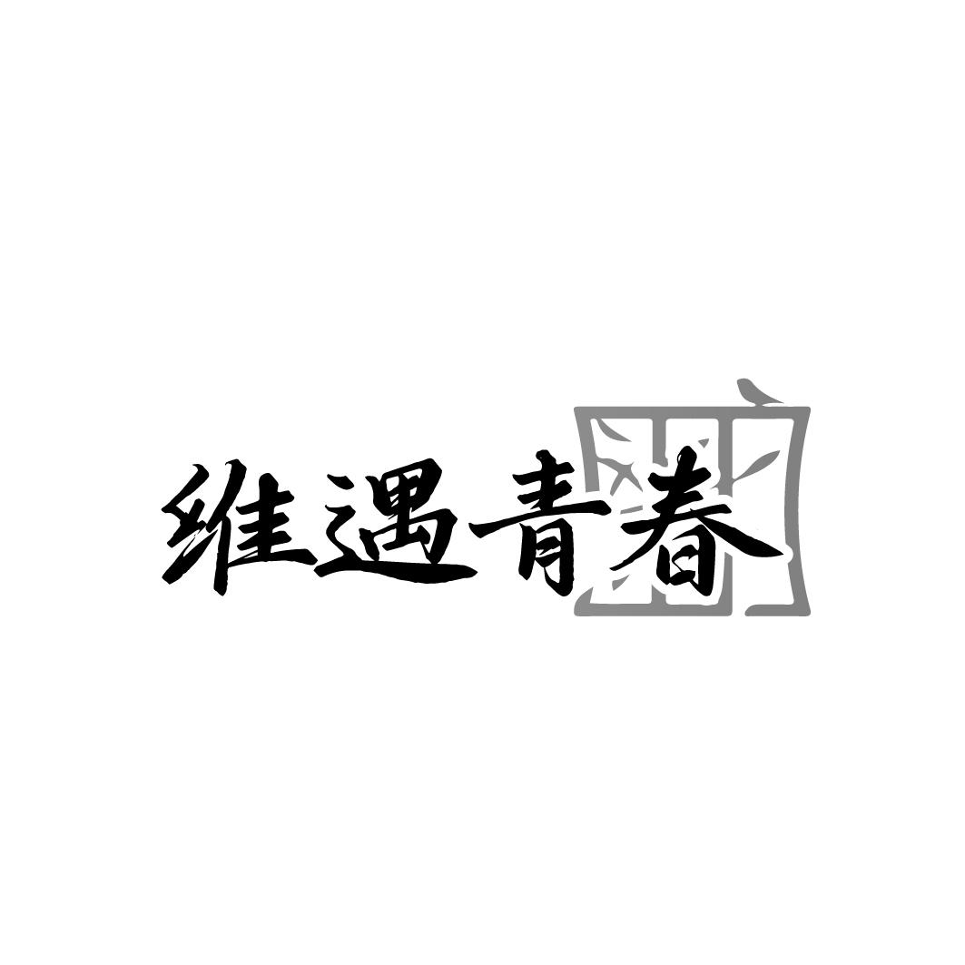 维遇青春