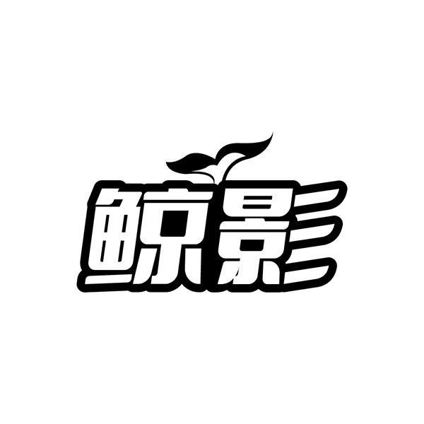 鲸影
