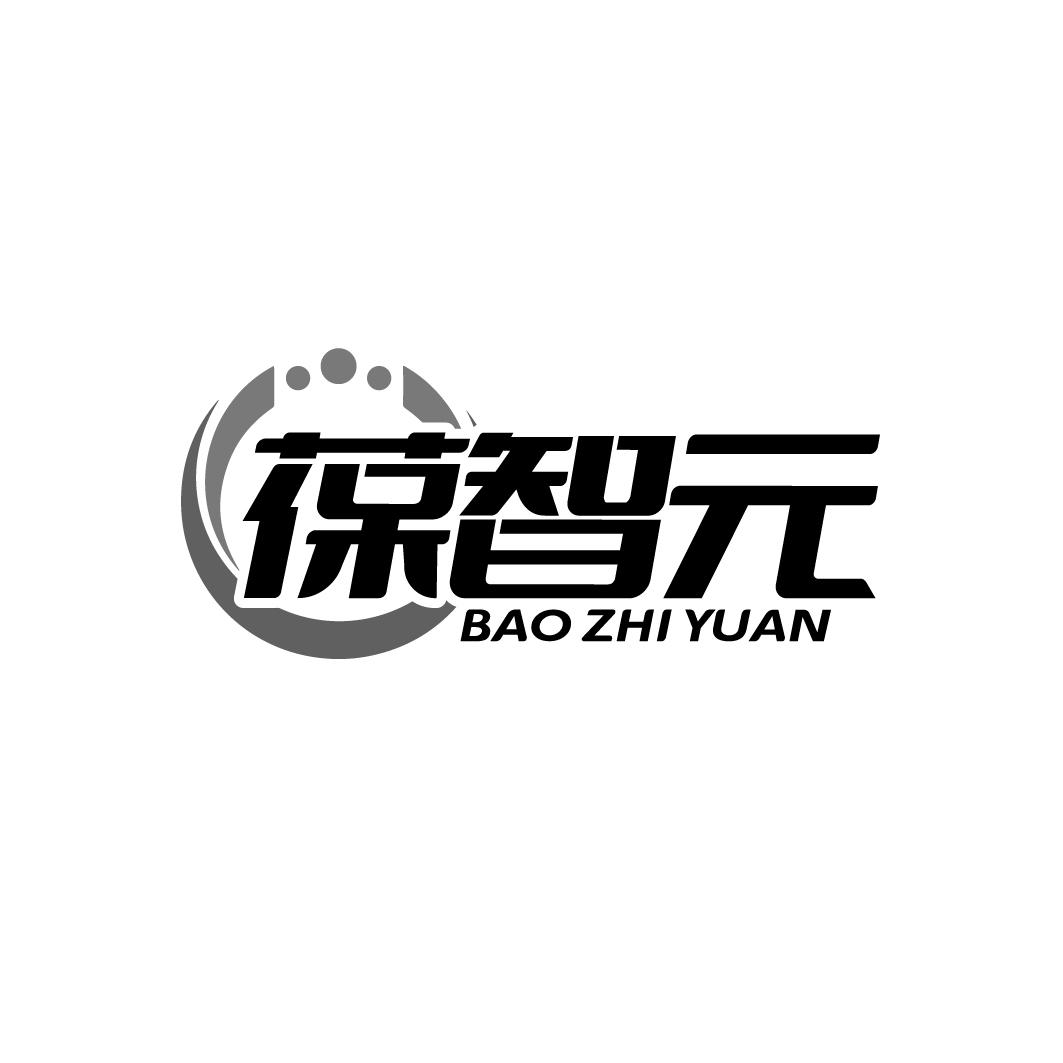 葆智元
