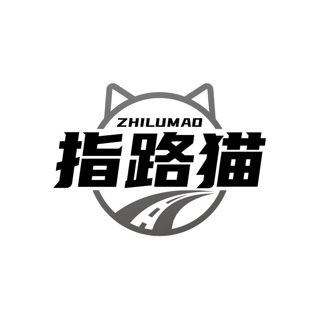 指路猫