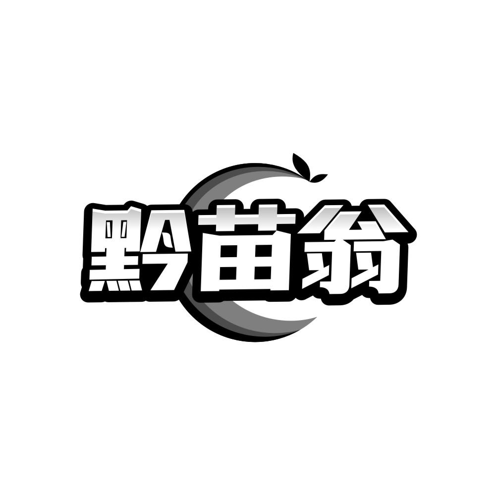 黔苗翁