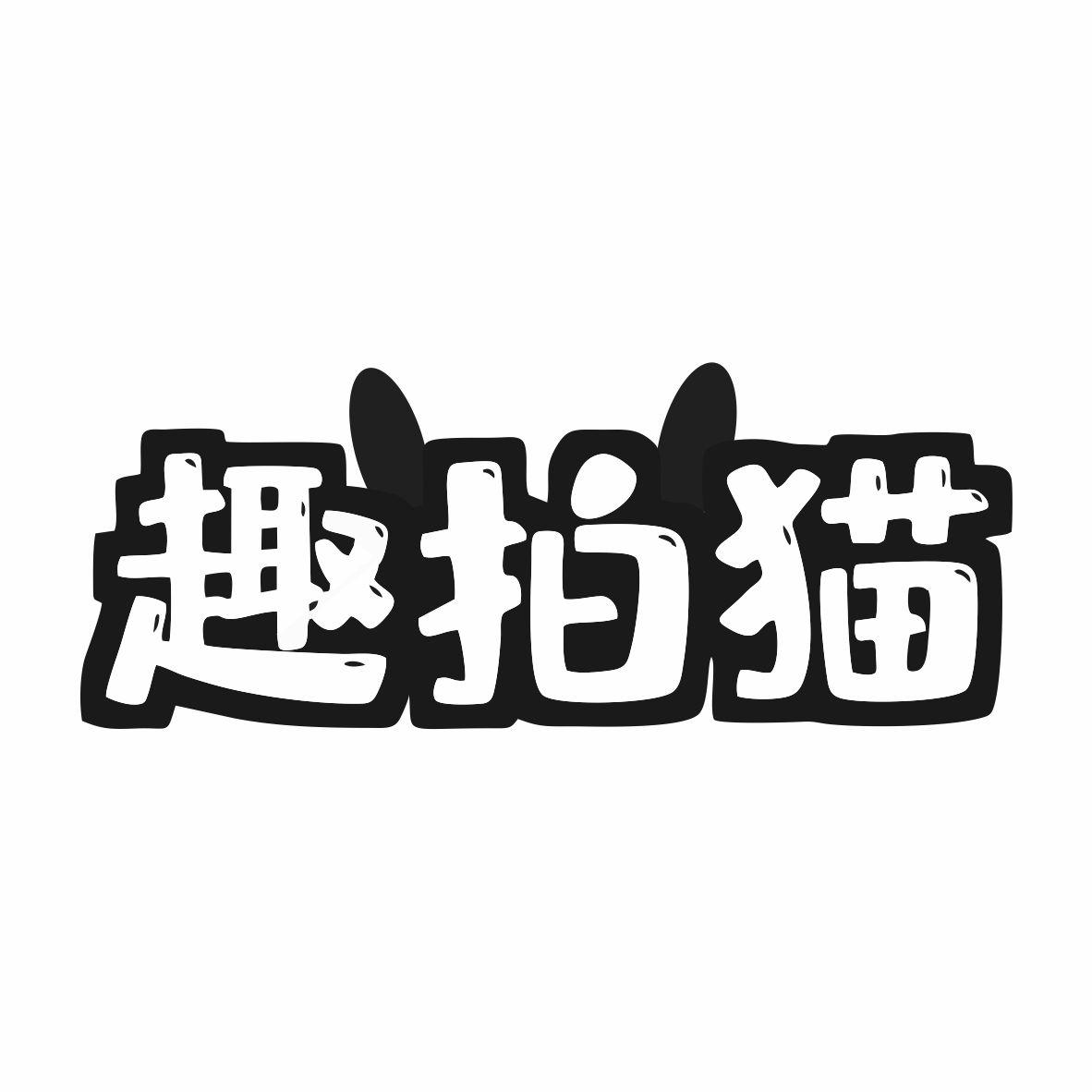 趣拍猫