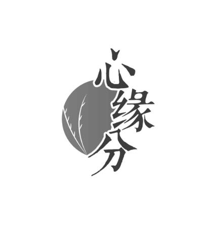 心缘分