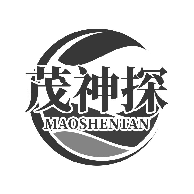 茂神探