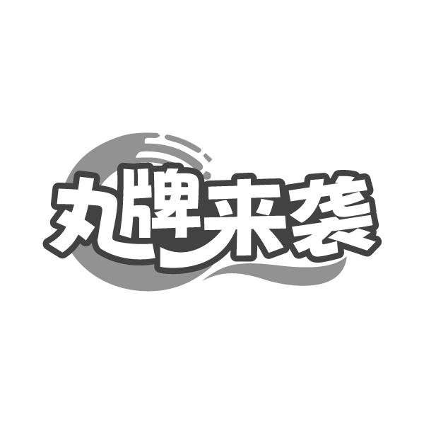 丸牌来袭