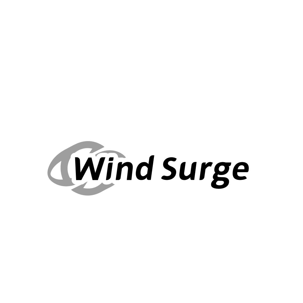 WIND SURGE