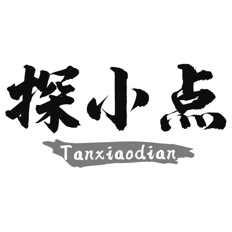 探小点