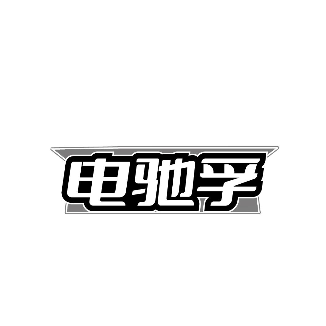 电驰孚