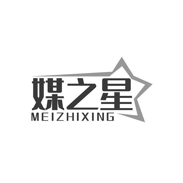 媒之星