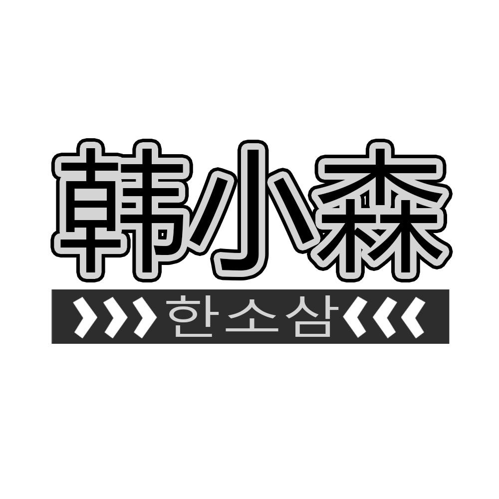 韩小森