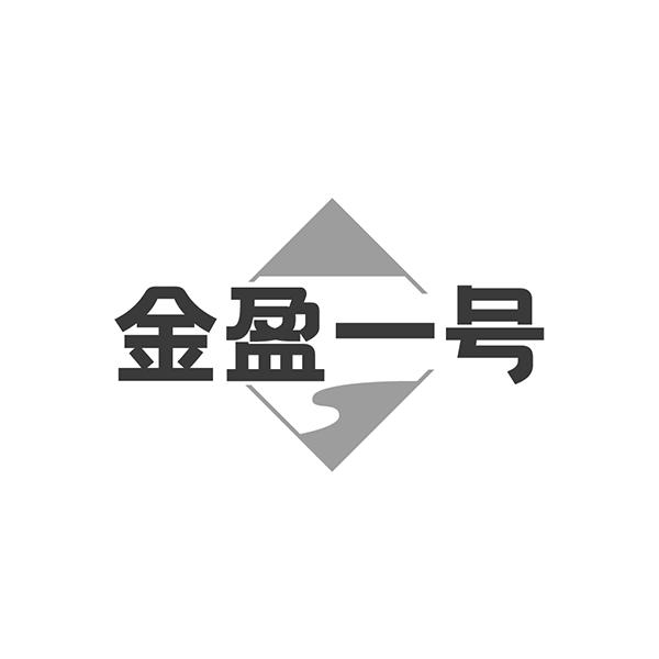 金盈一号