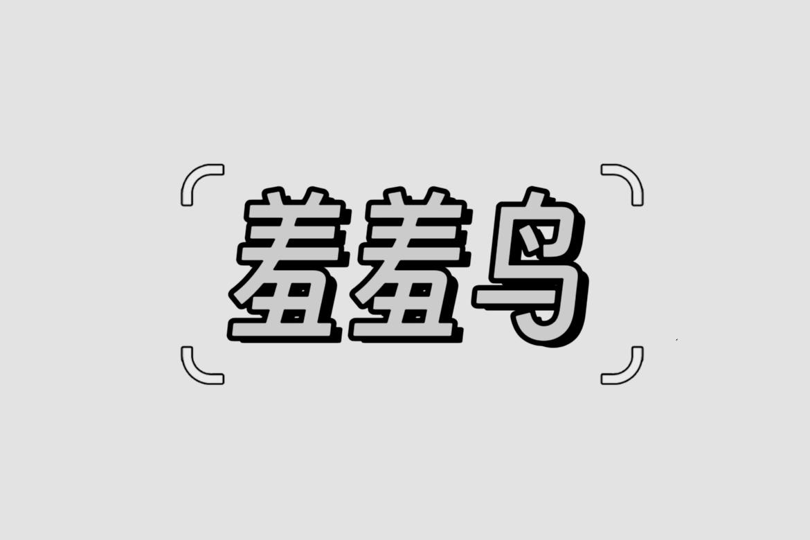 羞羞鸟