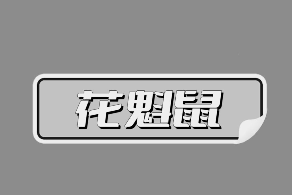 花魁鼠