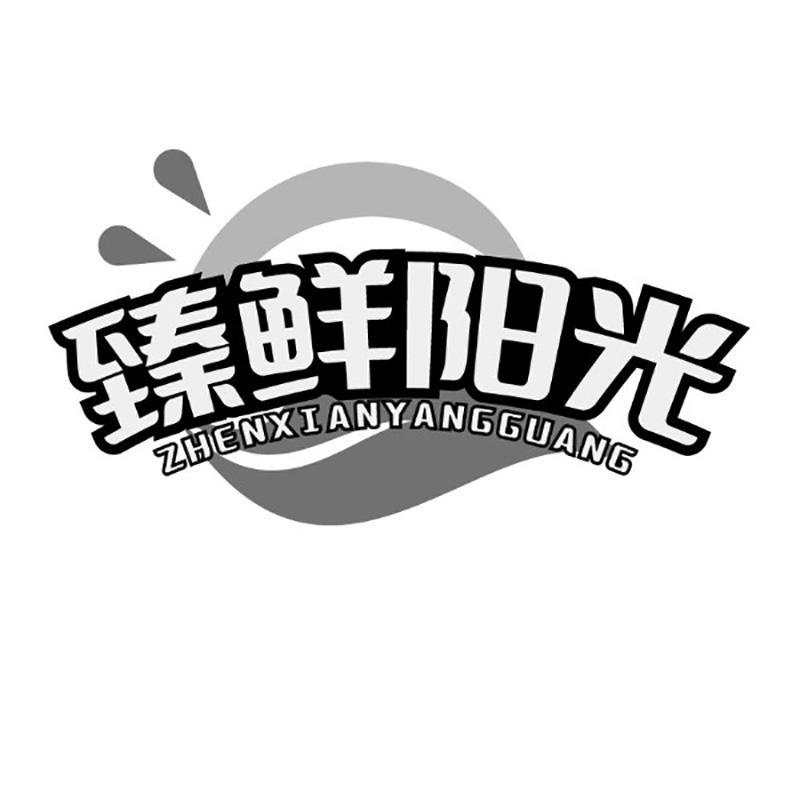 臻鲜阳光