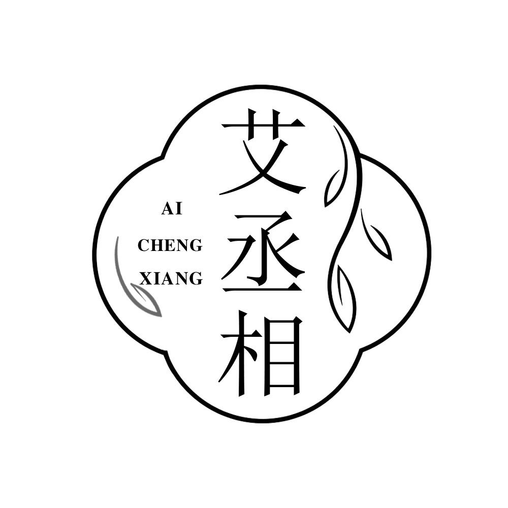 艾丞相