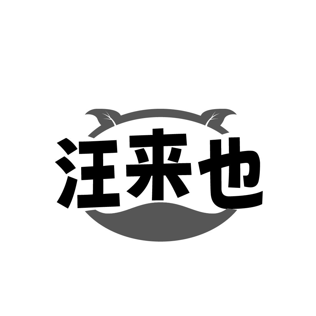 汪来也