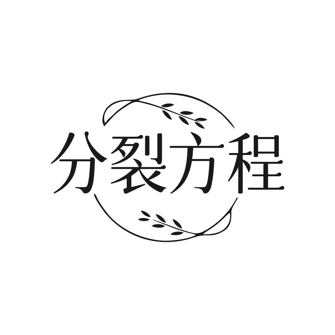 分裂方程
