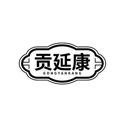 贡延康