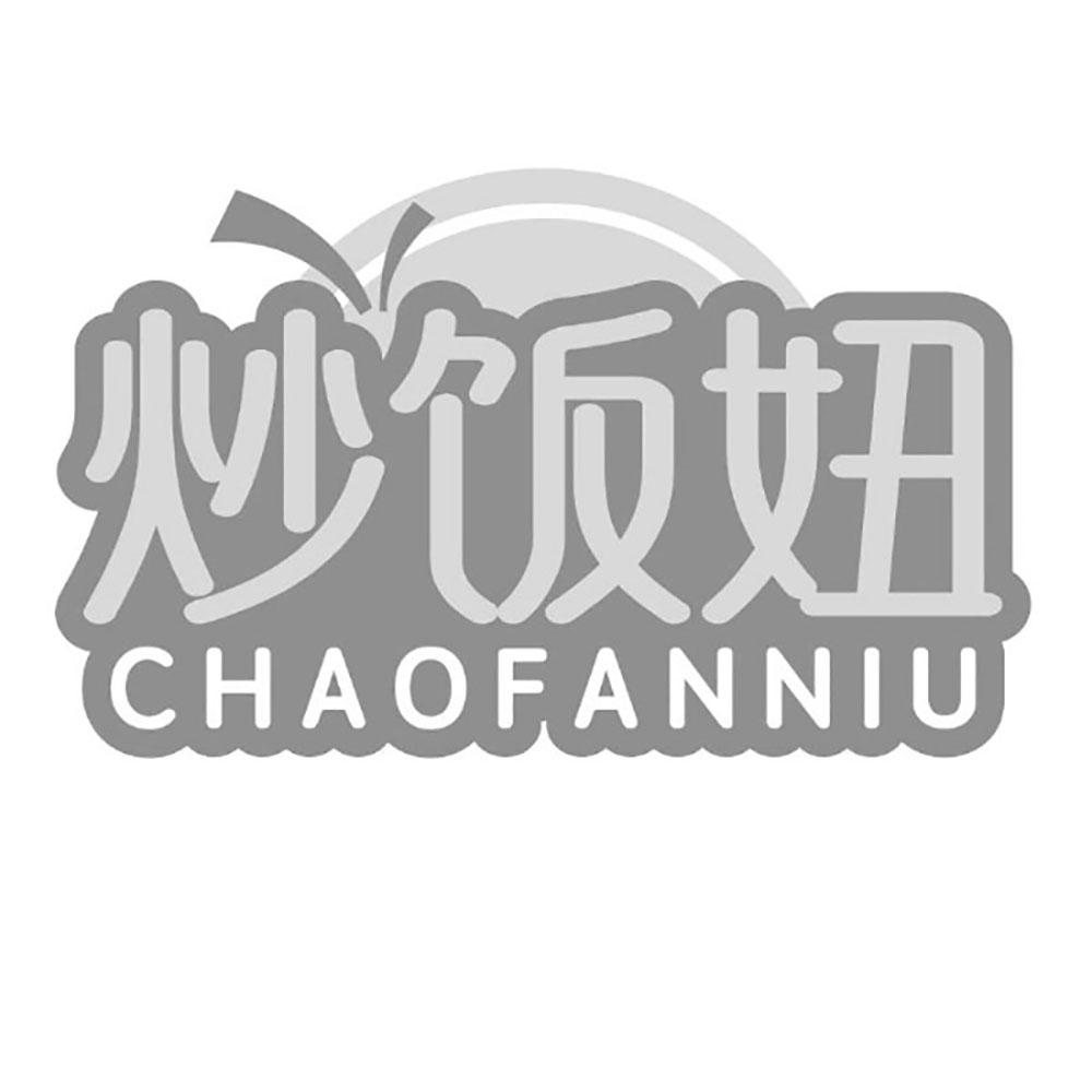 炒饭妞