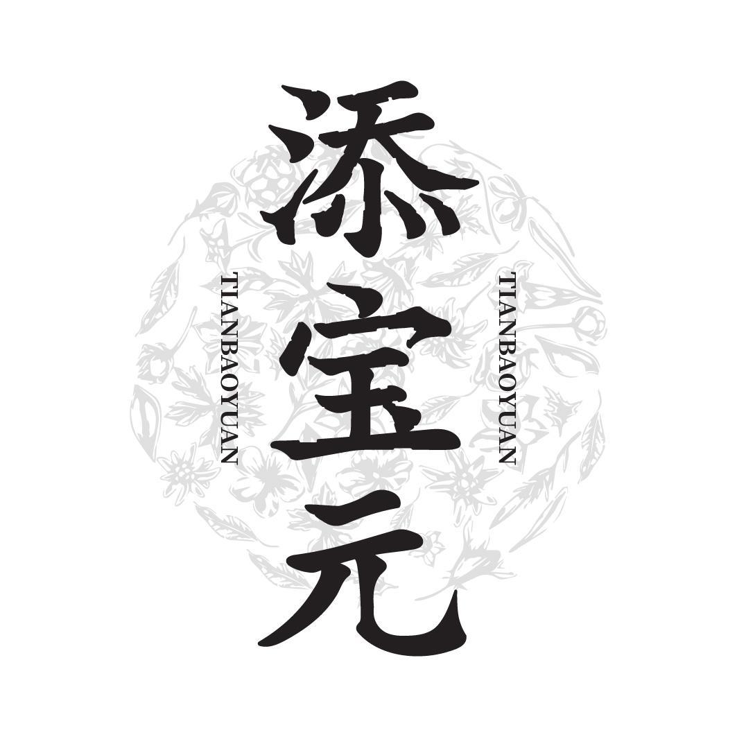 添宝元