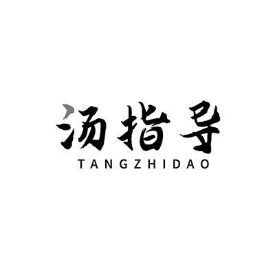 汤指导
