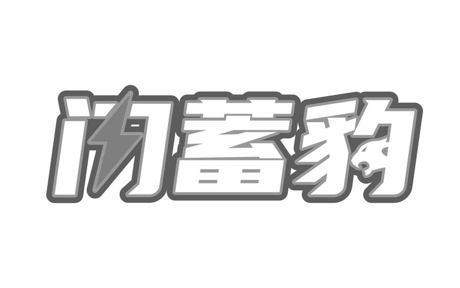 闪蓄豹