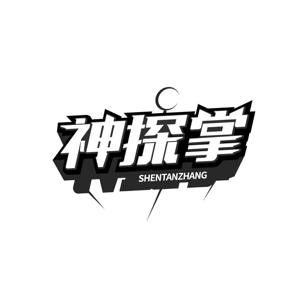 神探掌
