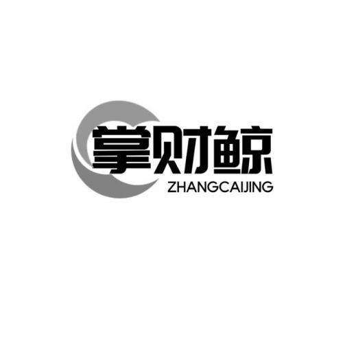 掌财鲸