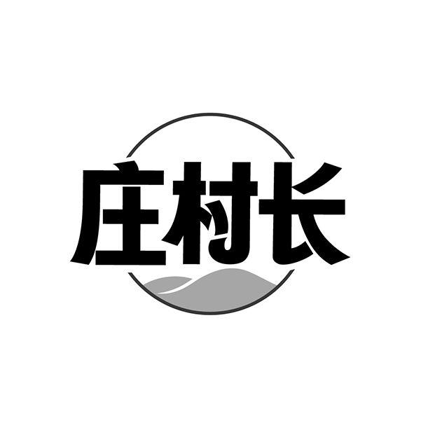 庄村长