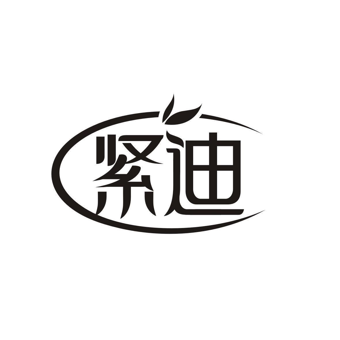 紧迪
