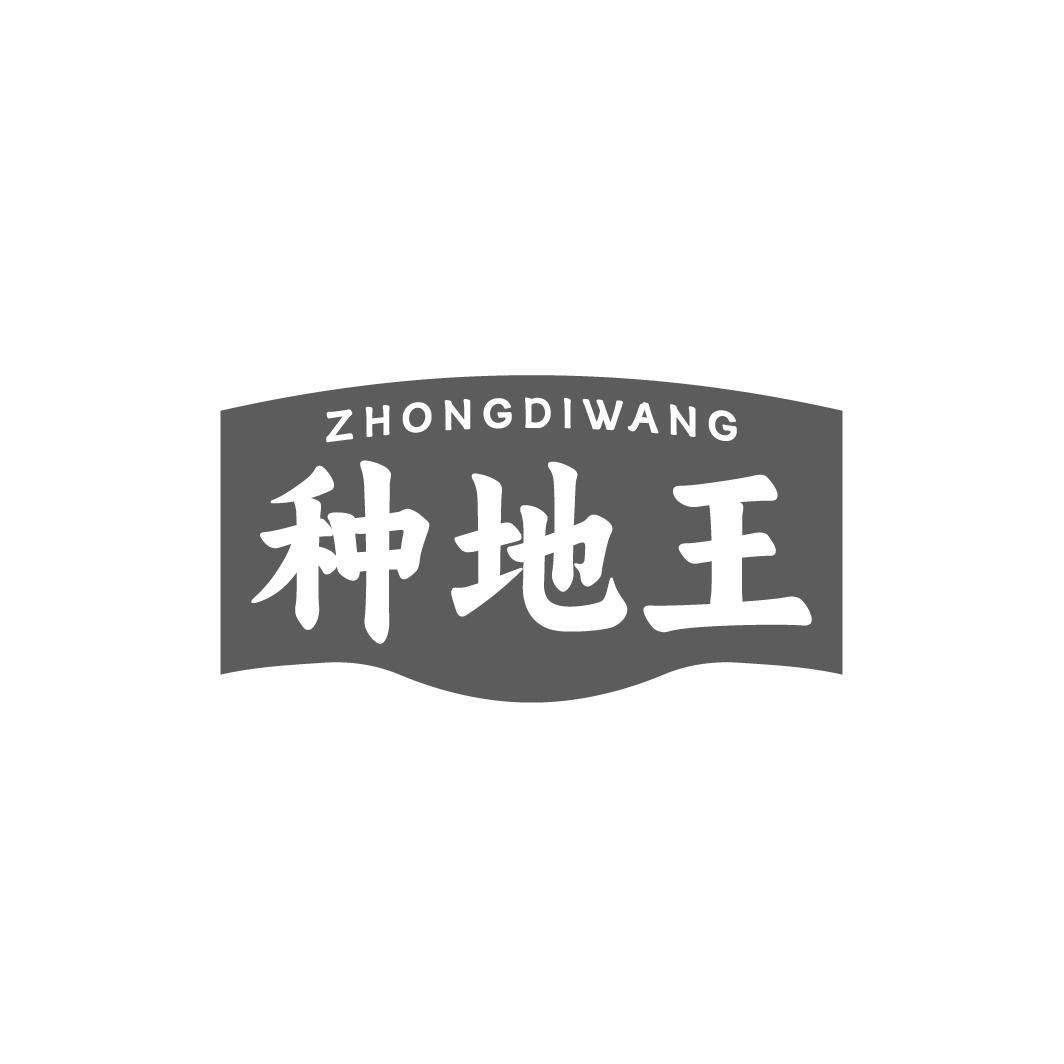 种地王