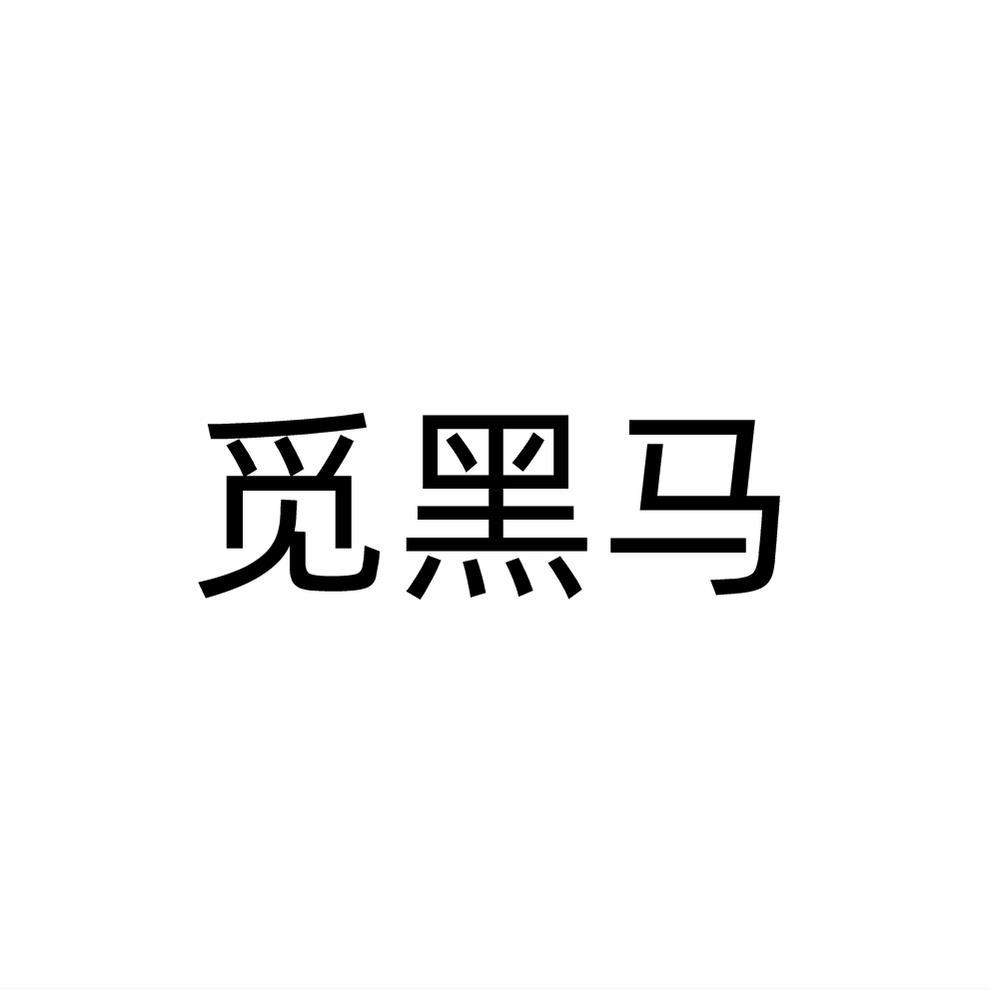 觅黑马