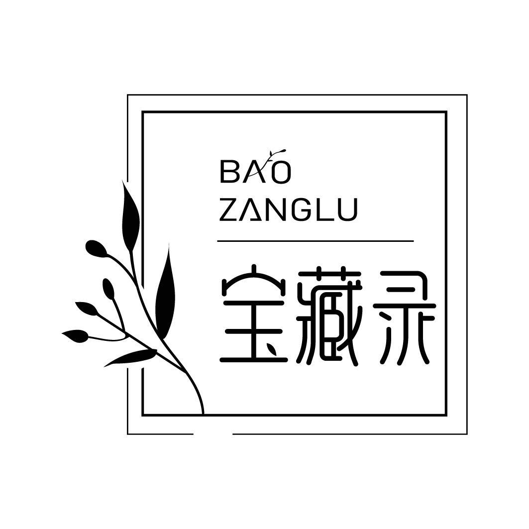 宝藏录